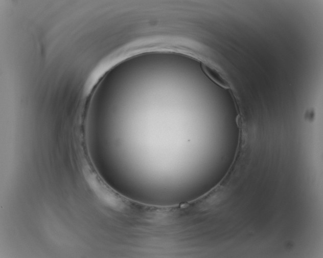 X0000114011530200910021329