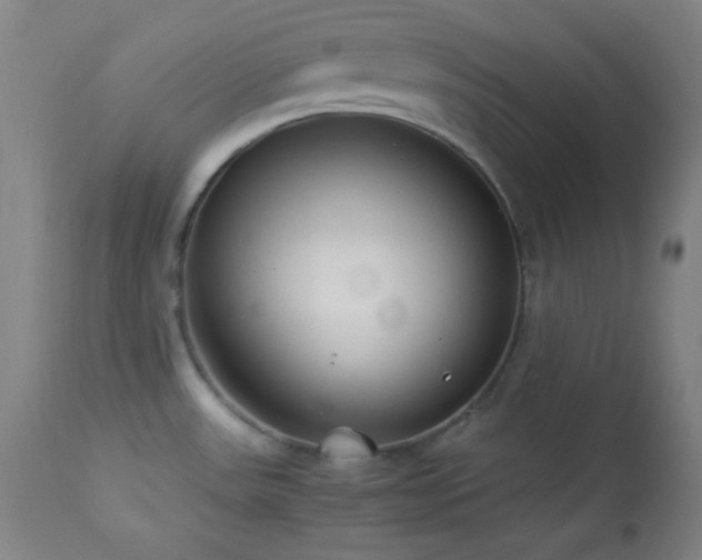 X0000114011531200910021329