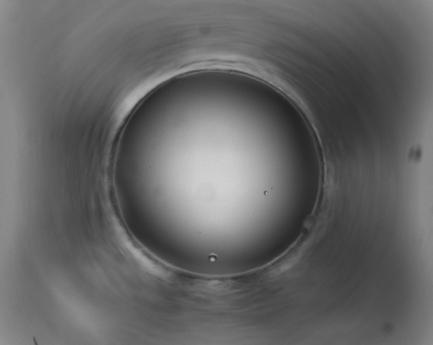 X0000114011533200910021329