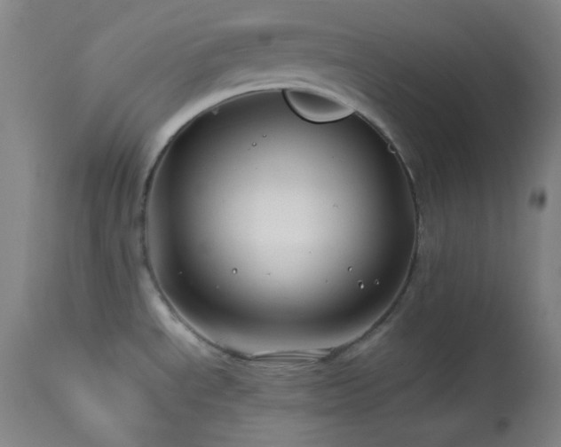 X0000114011534200910021329