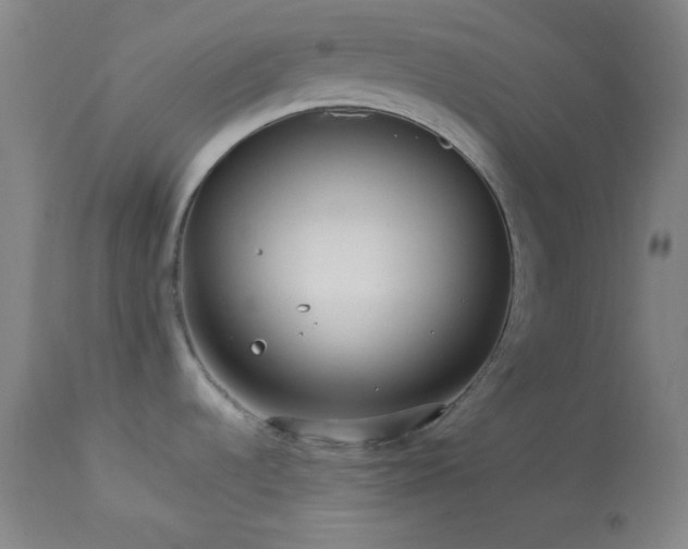 X0000114011536200910021329