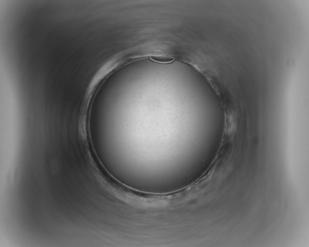 X0000114010004200910091433