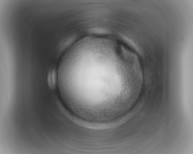 X0000114010014200910091433