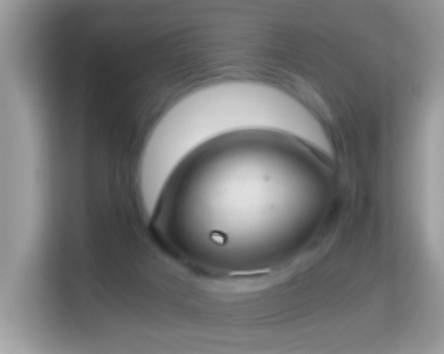 X0000114010025200910091432