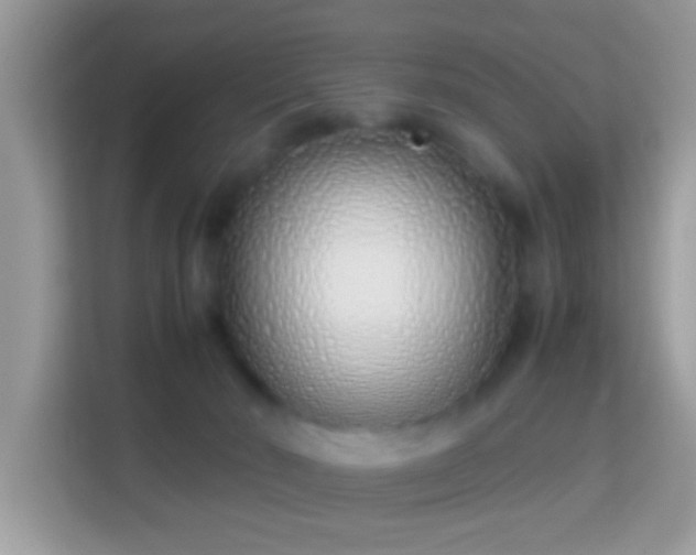 X0000114010030200910091432