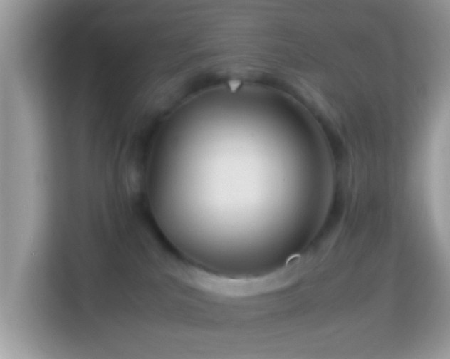 X0000114010039200910091432