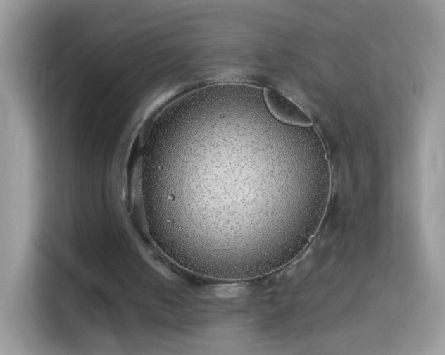X0000114010050200910091432