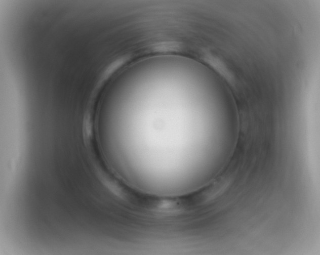 X0000114010060200910091432