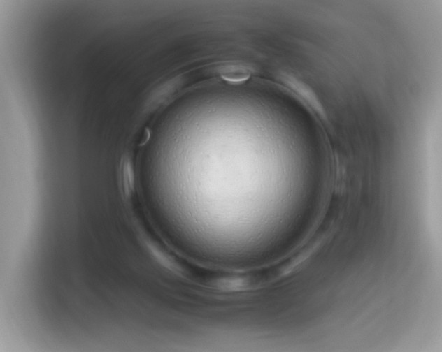 X0000114010061200910091432