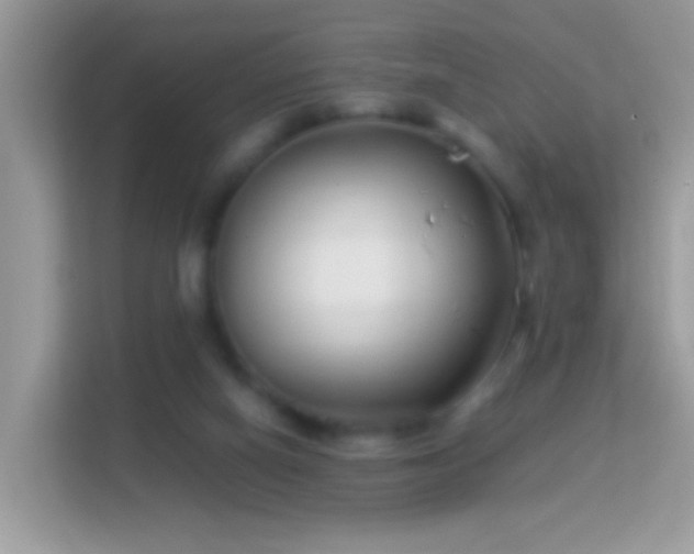 X0000114010066200910091432