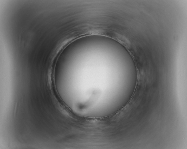 X0000114010098200910091432
