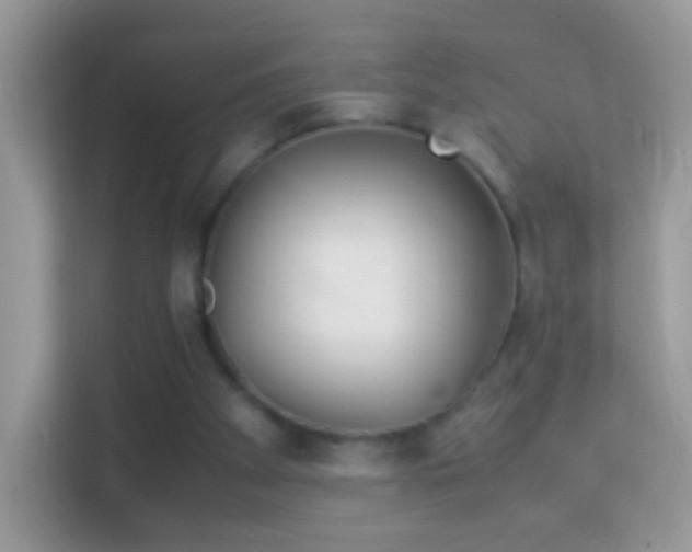 X0000114010105200910091431