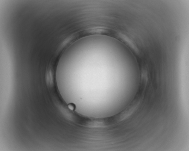 X0000114010110200910091431