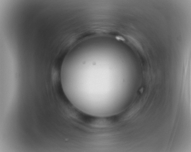 X0000114010123200910091431