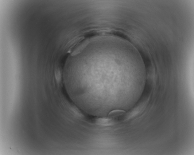 X0000114010139200910091431