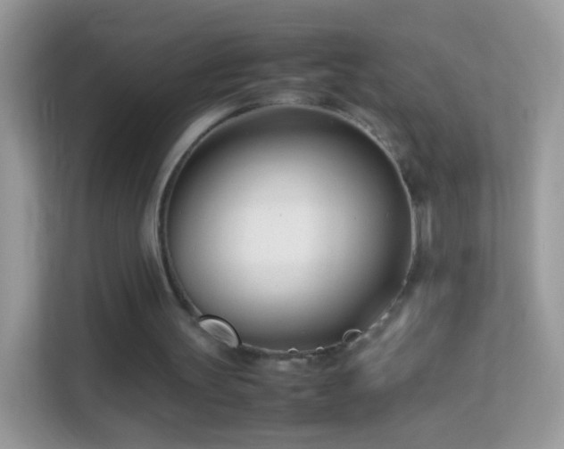 X0000114010147200910091430