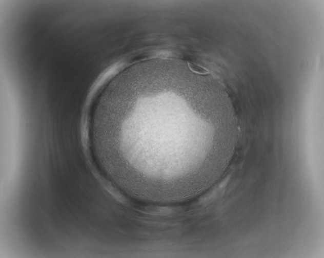X0000114010149200910091430