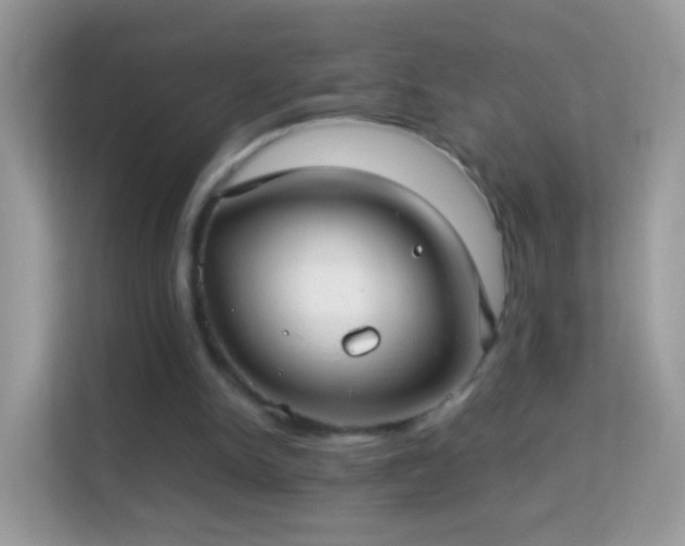 X0000114010150200910091430