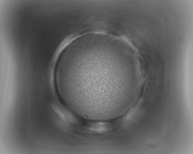 X0000114010151200910091430
