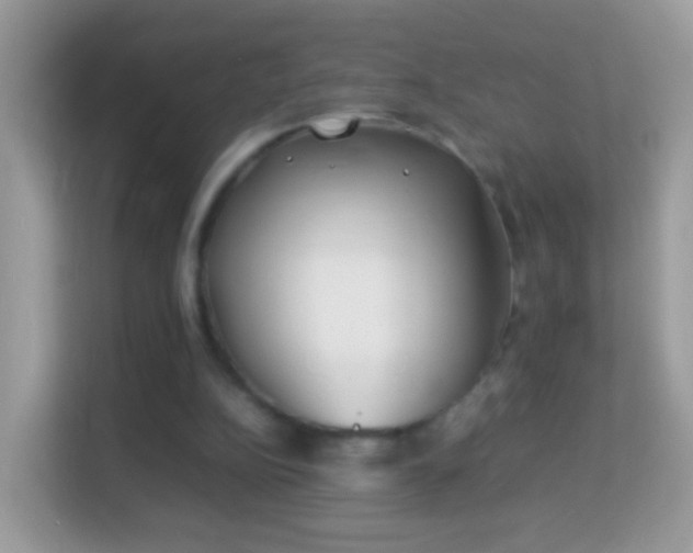 X0000114010152200910091430