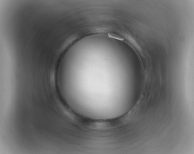 X0000114010154200910091430
