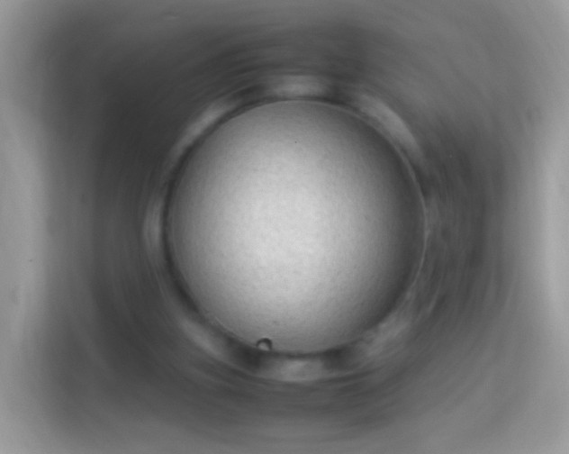 X0000114010155200910091430