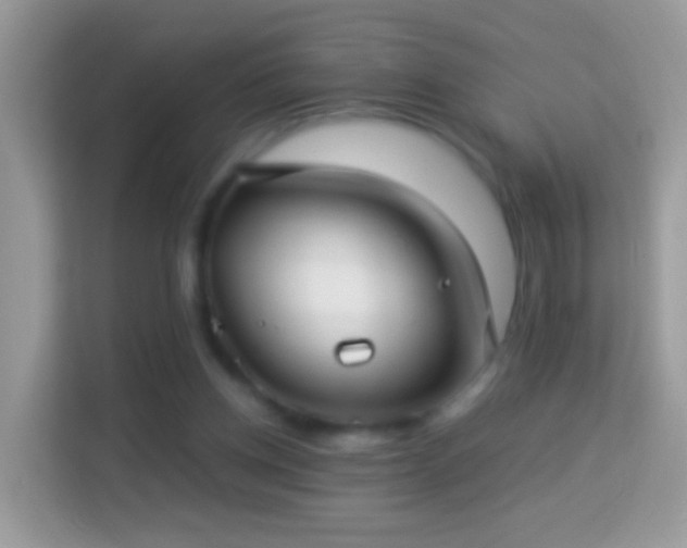 X0000114010158200910091430