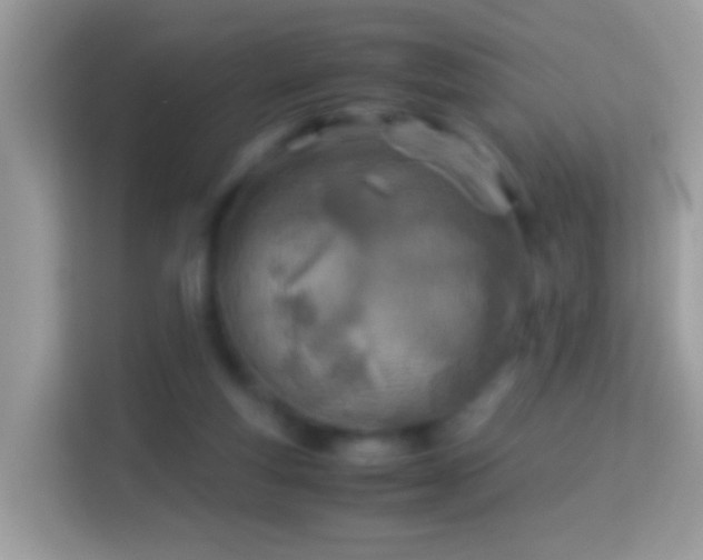 X0000114010163200910091431