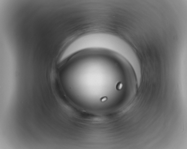 X0000114010164200910091431