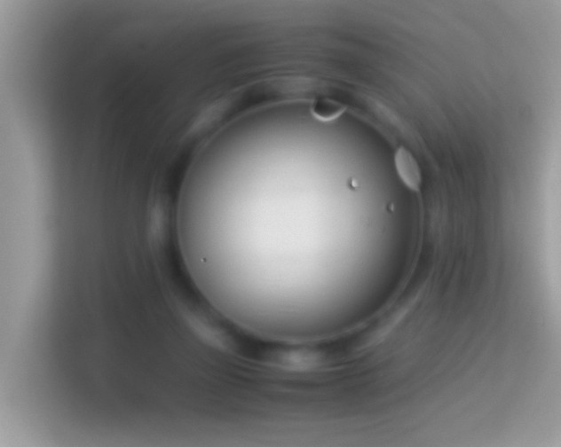 X0000114010165200910091431