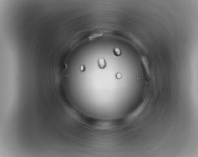 X0000114010170200910091431