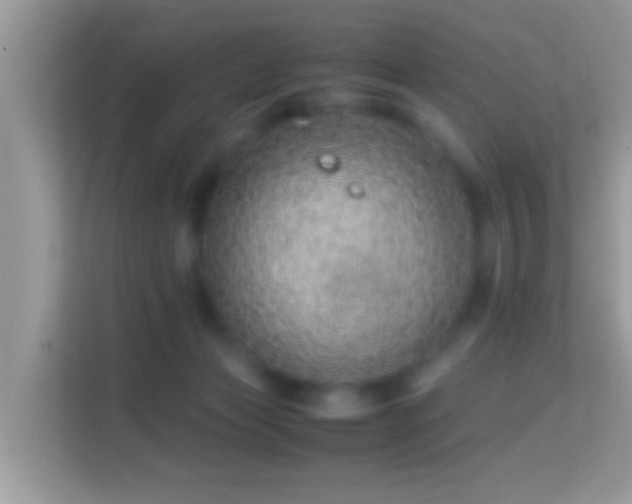 X0000114010173200910091431
