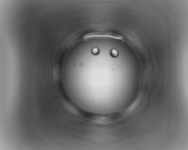 X0000114010174200910091431