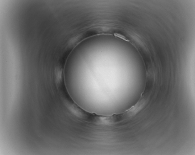 X0000114010188200910091431
