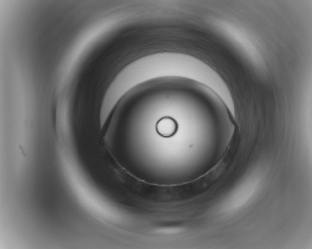 X0000114010189200910091431