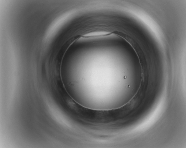 X0000114010190200910091431