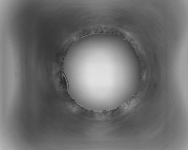 X0000114010192200910091431