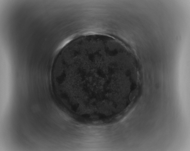 X0000114010196200910091430