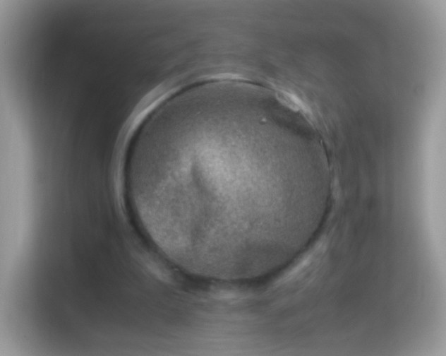 X0000114010199200910091430