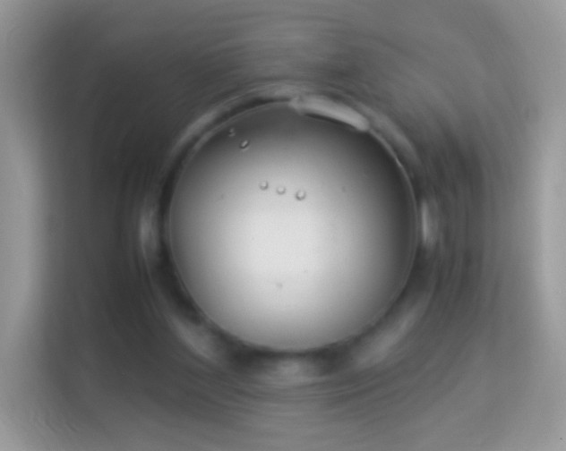 X0000114010204200910091430