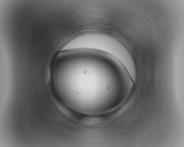 X0000114010205200910091430