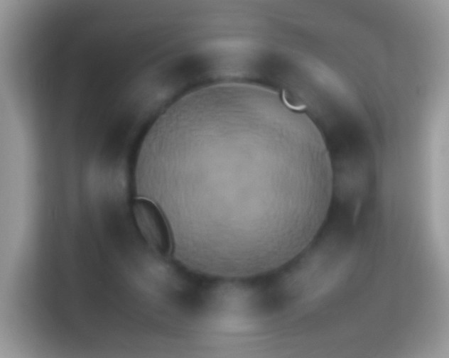 X0000114010207200910091430