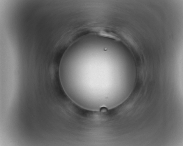 X0000114010229200910091430