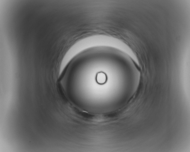 X0000114010231200910091430