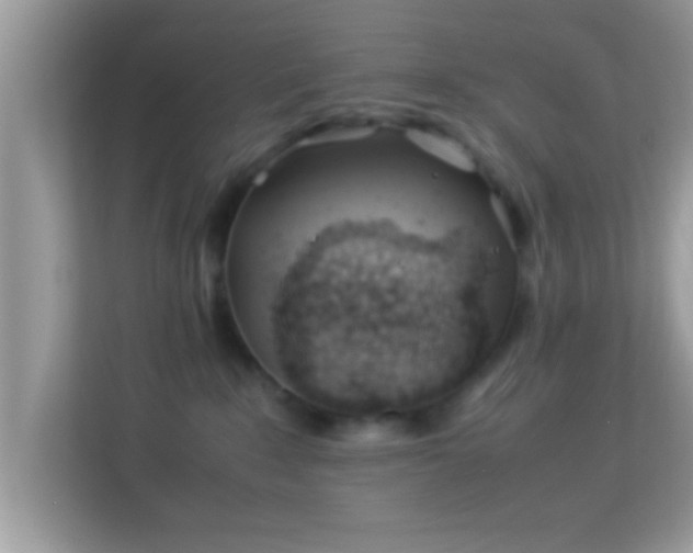 X0000114010235200910091430