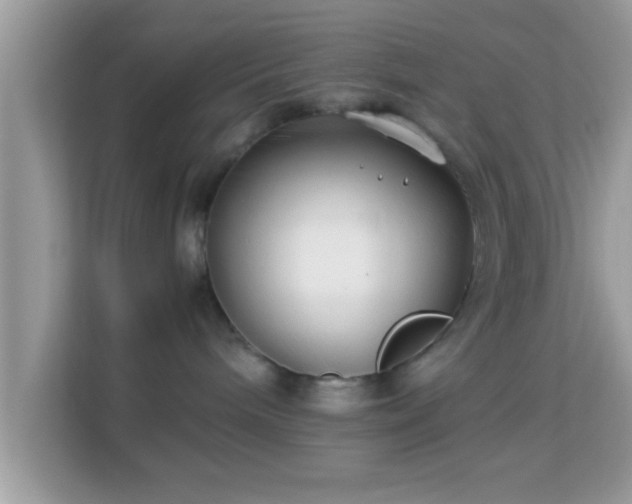 X0000114010240200910091430