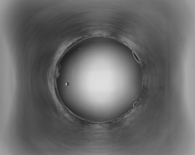 X0000114010241200910091429