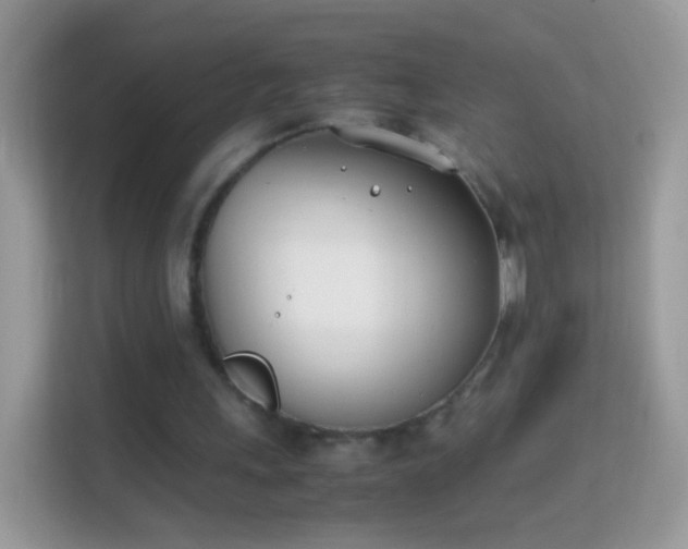 X0000114010243200910091429