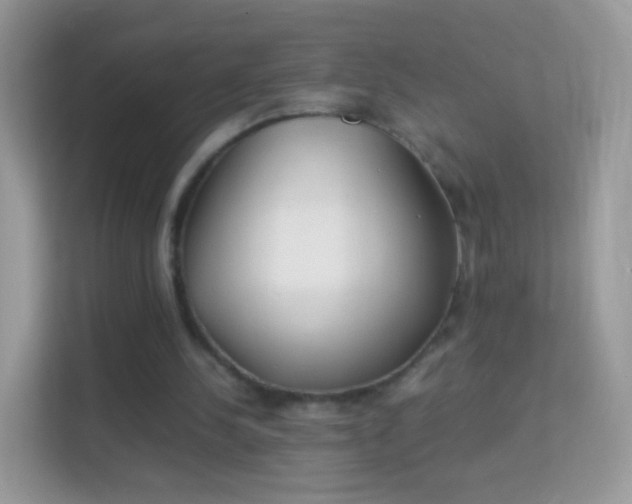 X0000114010244200910091429