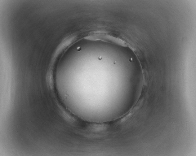 X0000114010245200910091429